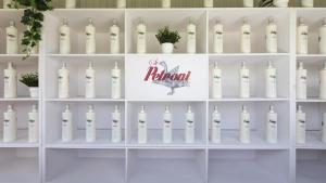 Petroni / Evento
